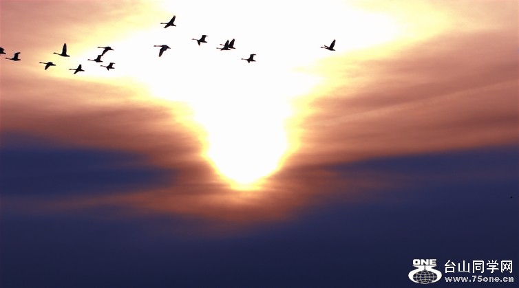 DSC_0068.jpg