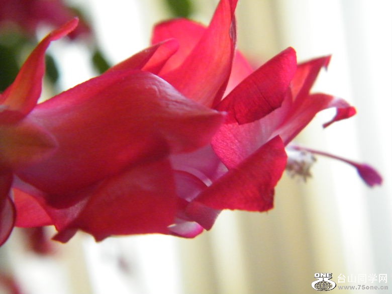 DSCF0003.JPG