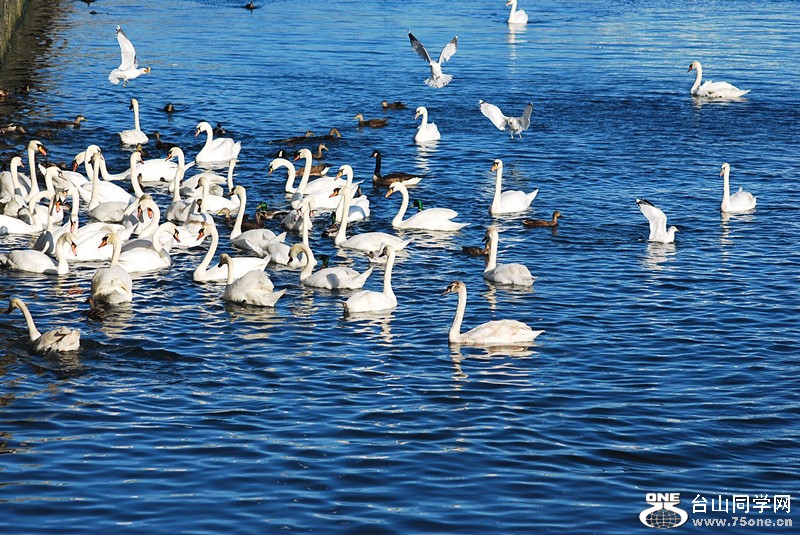 DSC_0243_.jpg