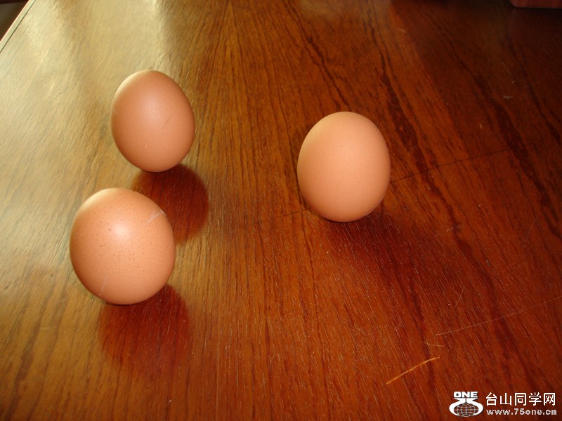DSC00022_.jpg