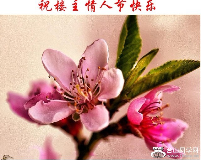 情人节快乐.jpg