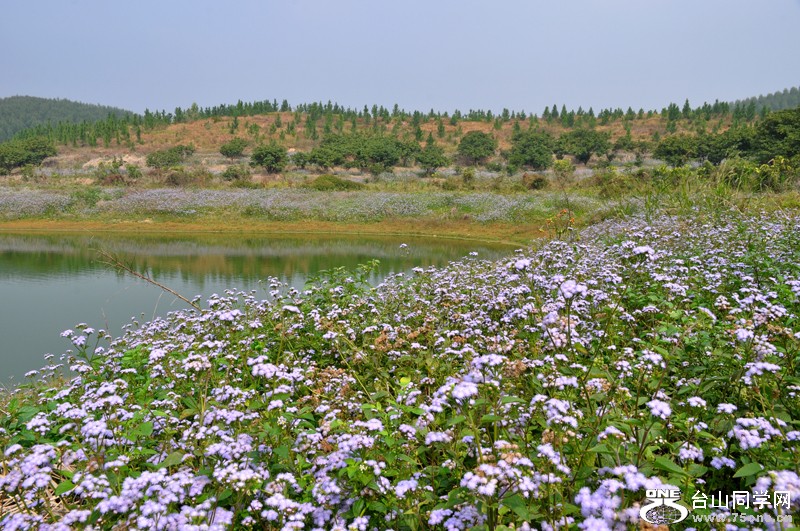 DSC_3261.jpg