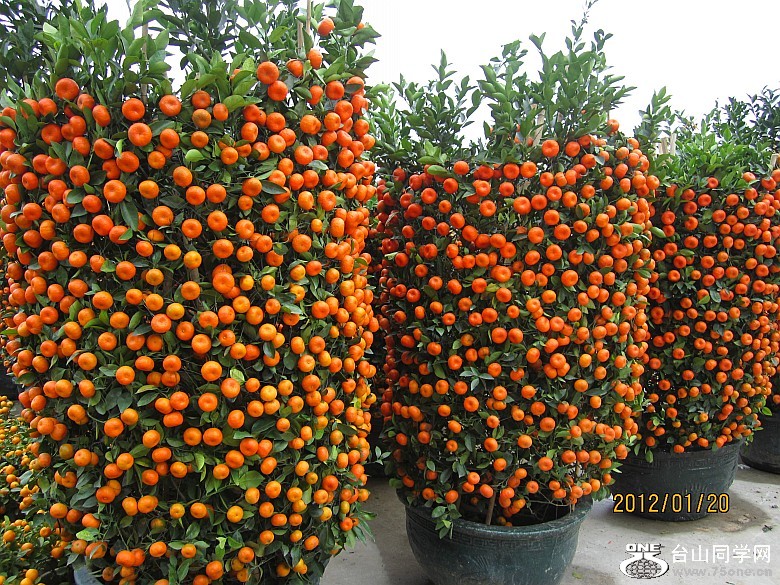 껨λ 086_conew1.jpg