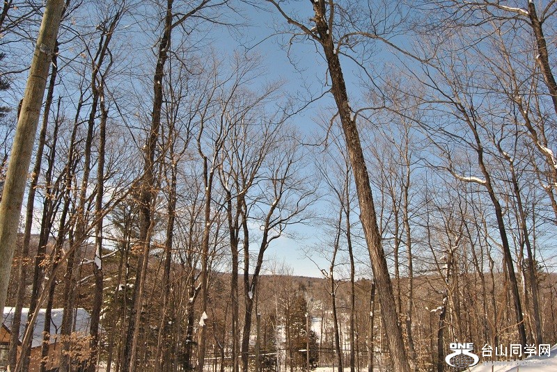 DSC_0132.JPG