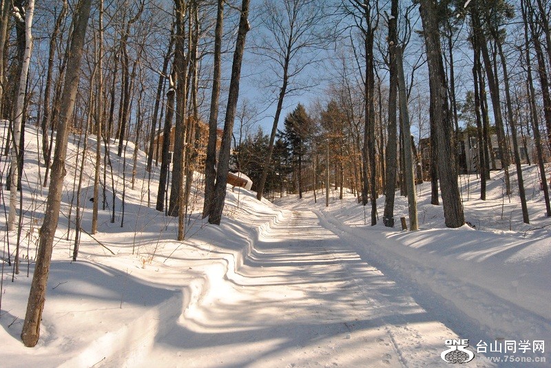 DSC_0127.JPG
