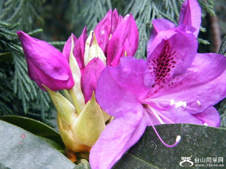 DSCF4589.JPG