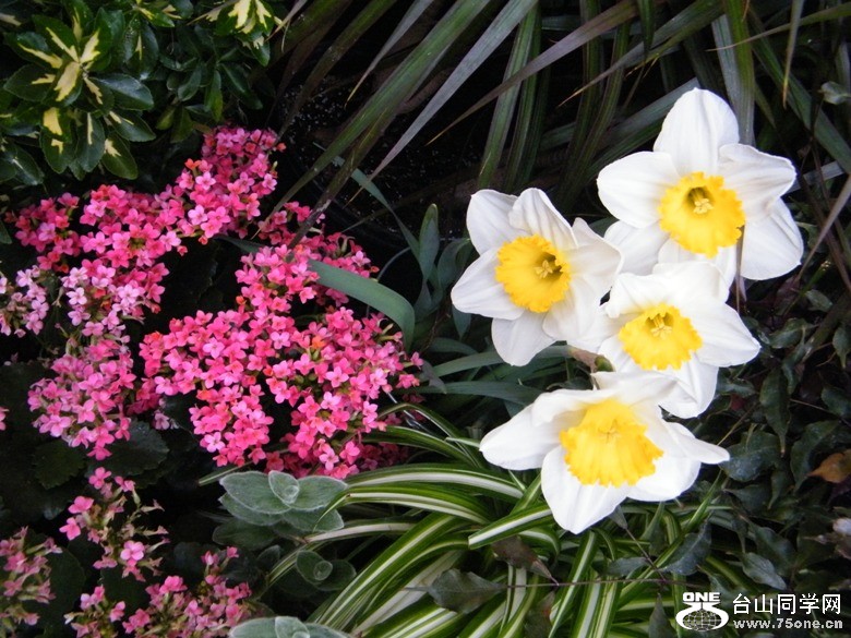DSCF7245.JPG