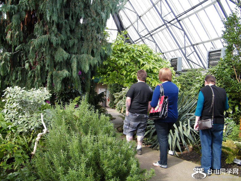 DSCF4570.JPG