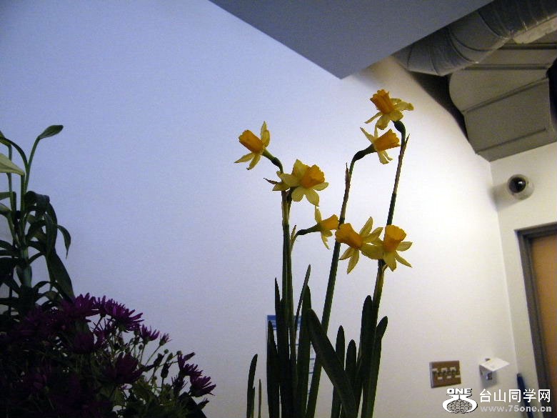 DSCF4364=.jpg
