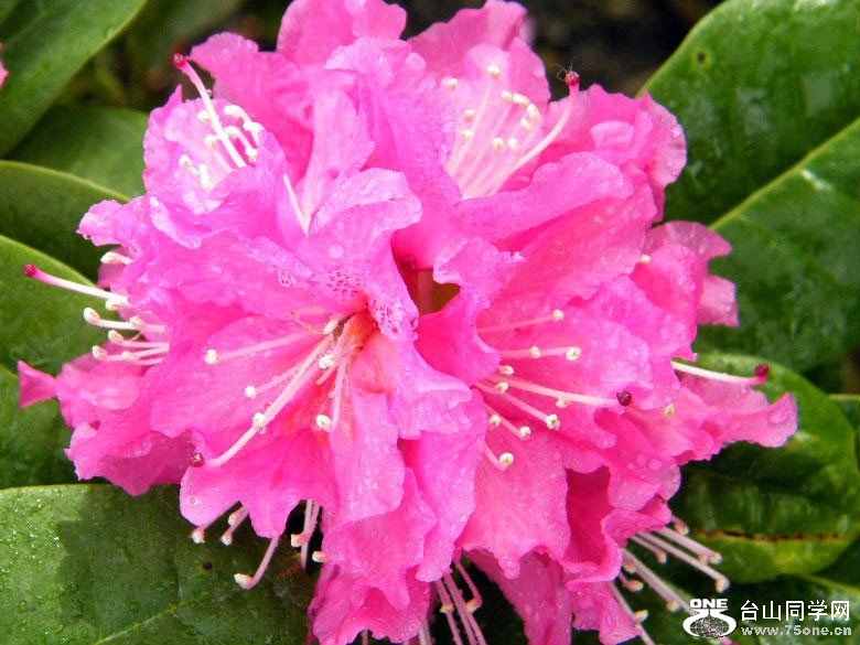 DSCF4573.JPG