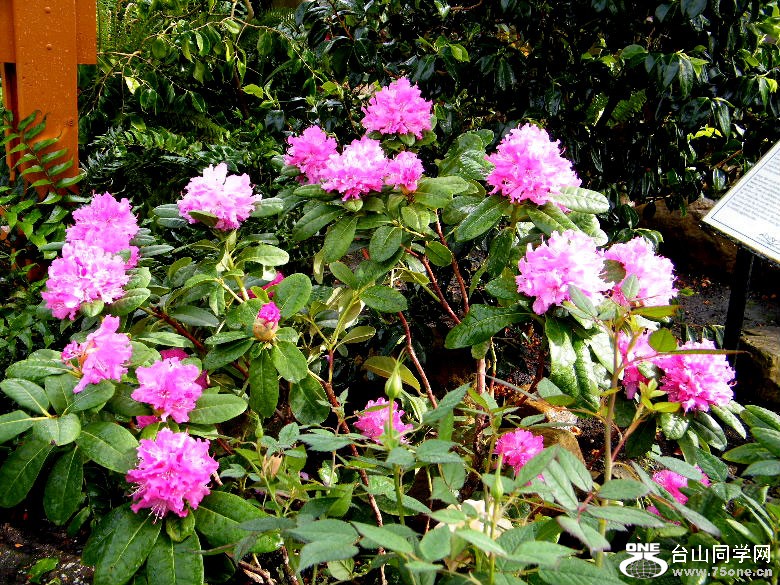 DSCF4560.JPG