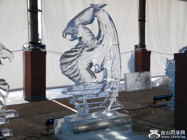 DSCF1823.JPG