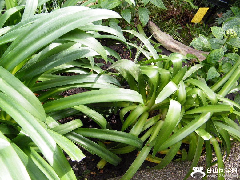 DSCF4514.JPG