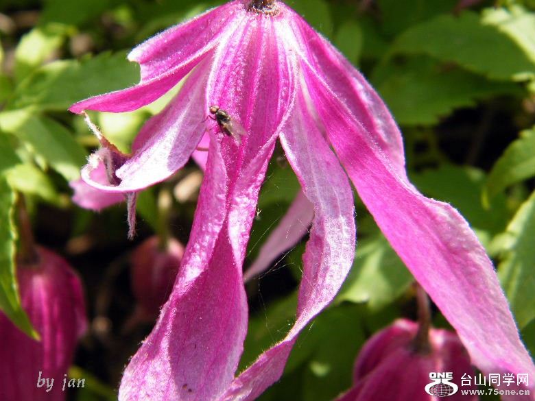 DSCF9602=.jpg