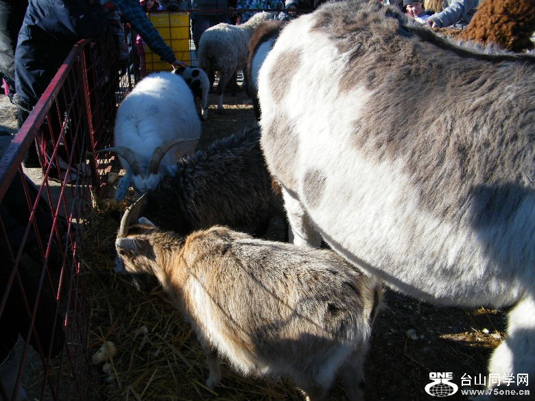 DSCF1838.JPG