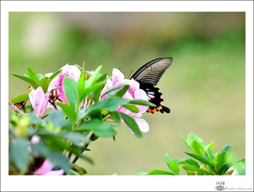 DSC_0154_conew1.jpg