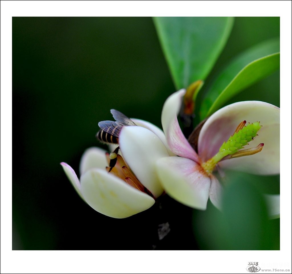 DSC_0447_conew1.jpg