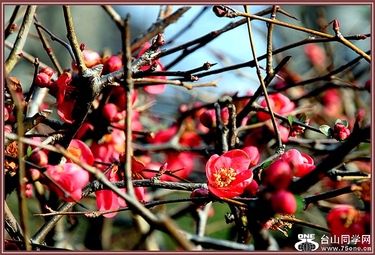 dsc_0790.jpg