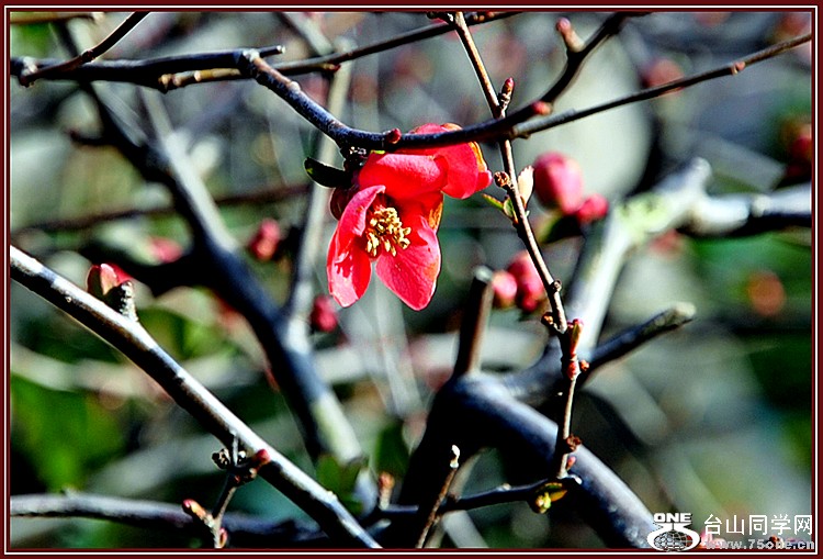 dsc_0789.jpg