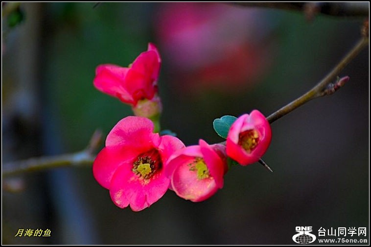 DSC_7672.jpg