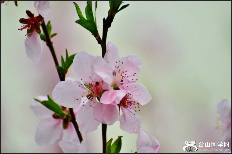 DSC_9092.jpg
