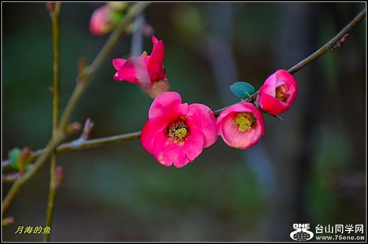 DSC_7674.jpg