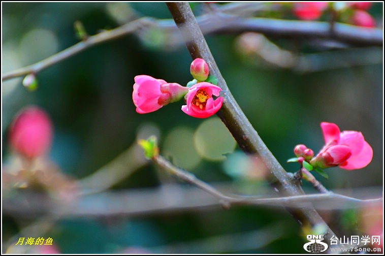 DSC_7691.jpg