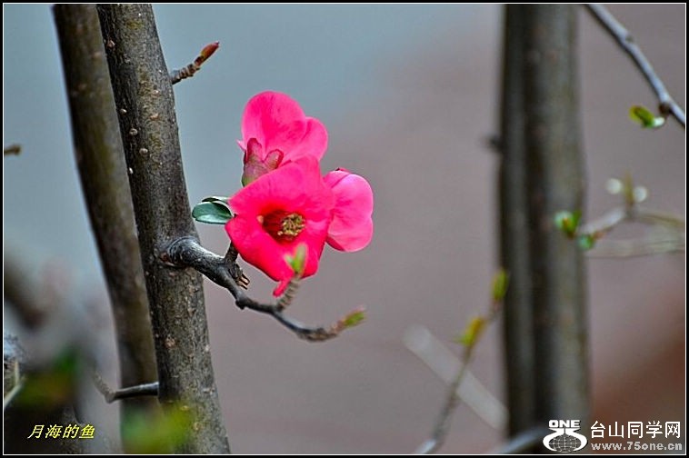 DSC_7700.jpg