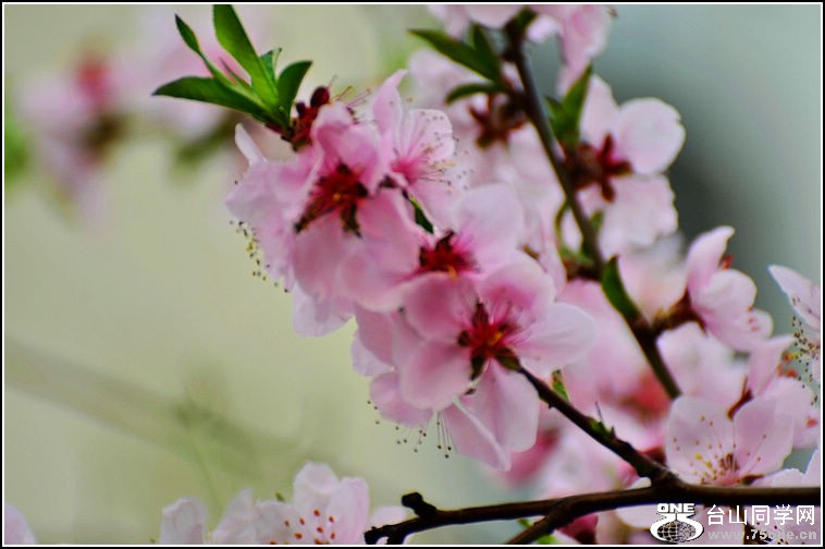 DSC_9099.jpg
