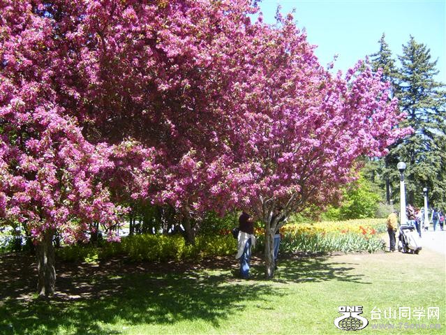 Picture 943 (Small).jpg