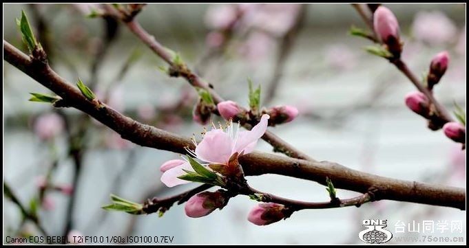 С IMG_2677.JPG