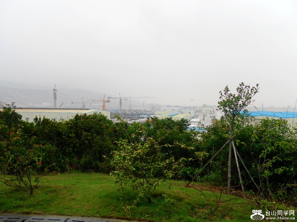 SAM_0754_conew1.jpg