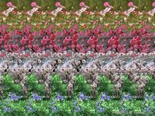 u=2547852668,3000833674&amp;fm=52&amp;gp=0.jpg