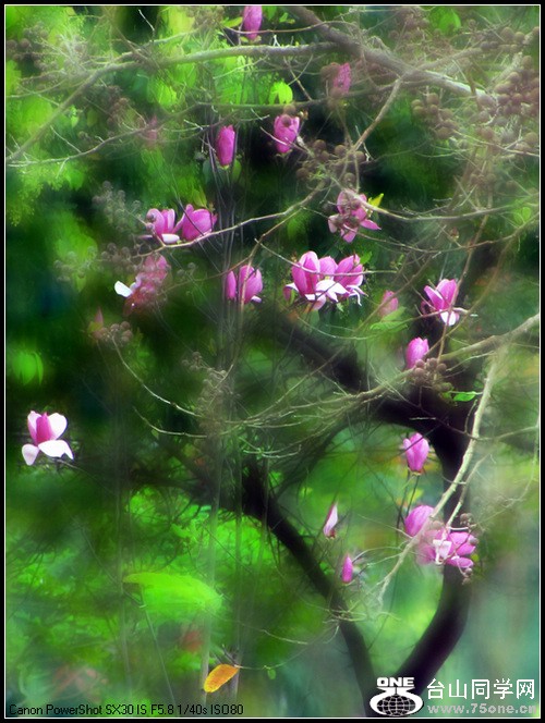 nEO_IMG_Ϫ 060.jpg
