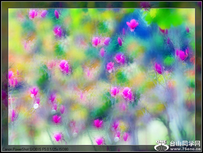 nEO_IMG_Ϫ 022.jpg