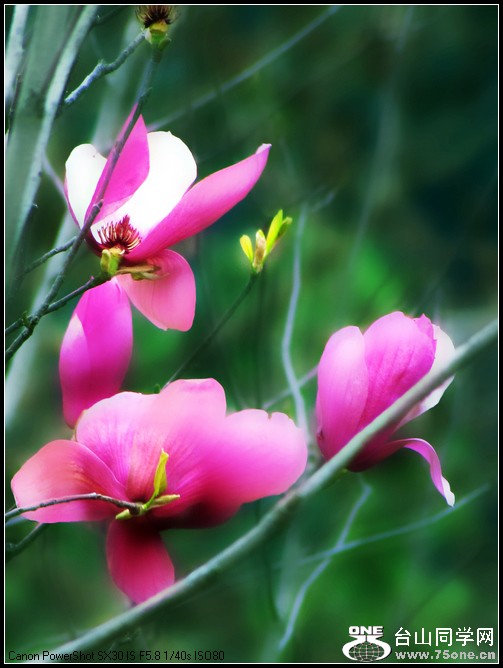nEO_IMG_Ϫ 057.jpg