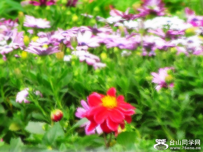 nEO_IMG_ۿݳ 358.jpg