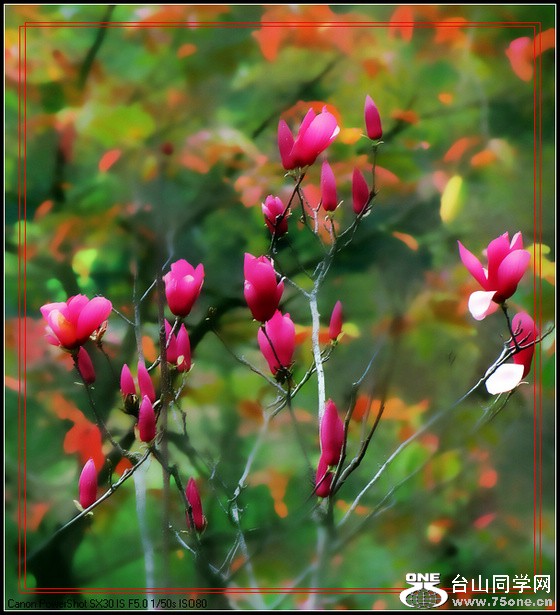 nEO_IMG_Ϫ 032.jpg