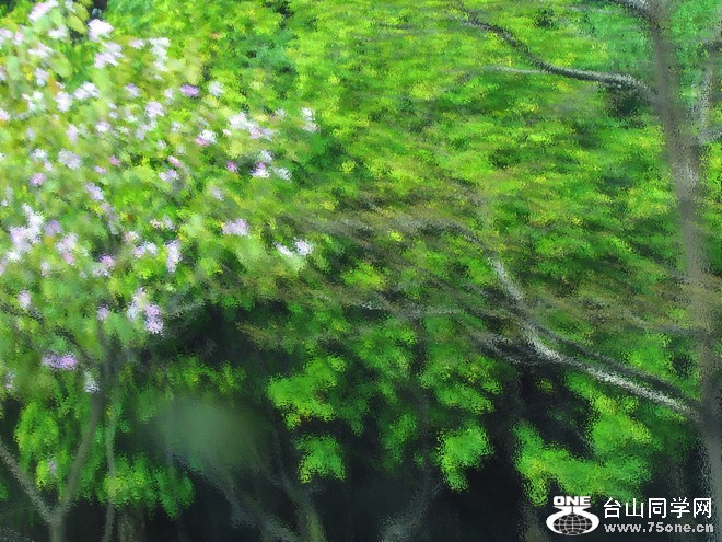 nEO_IMG_ۿݳ 567.jpg