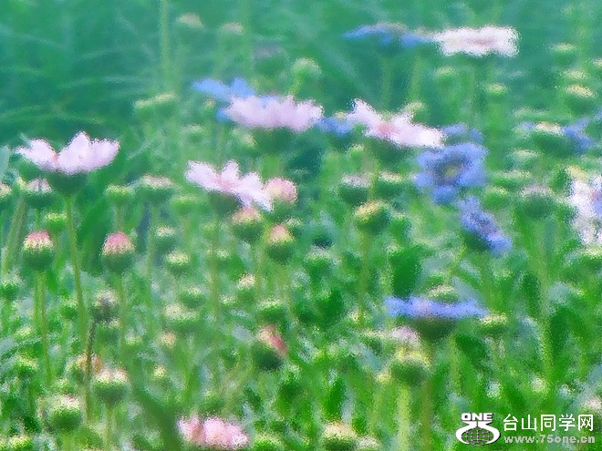nEO_IMG_ۿݳ 478.jpg
