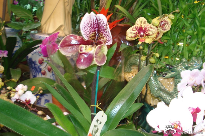 2.26.2012 026_.jpg