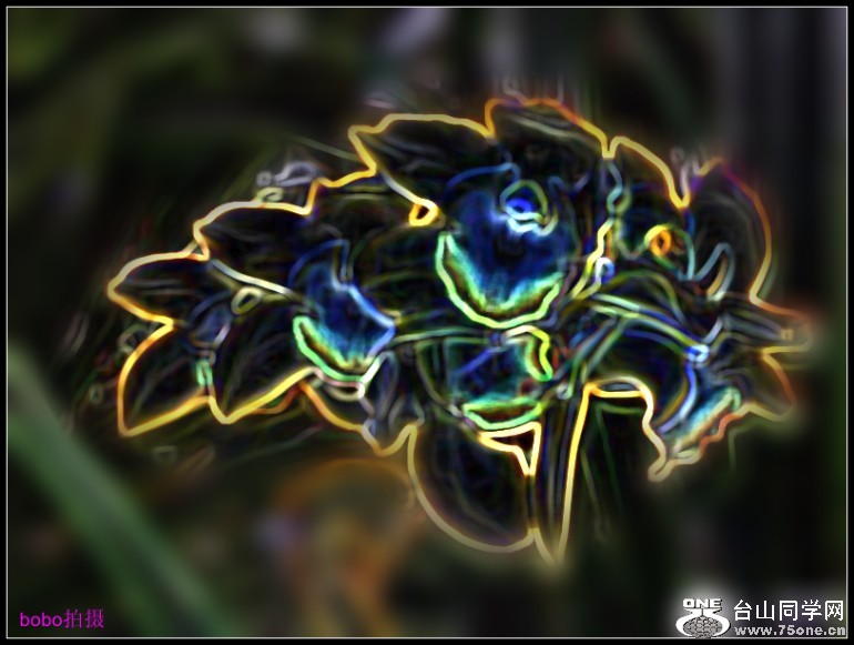 64b931ee83fa7498_conew31.jpg