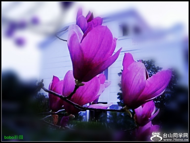 64b931ee83fa7498_conew23.jpg