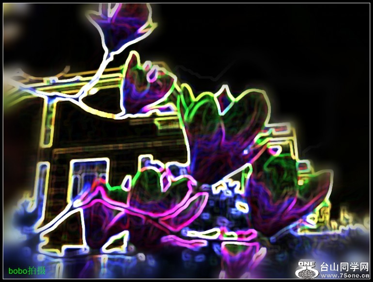 64b931ee83fa7498_conew32.jpg