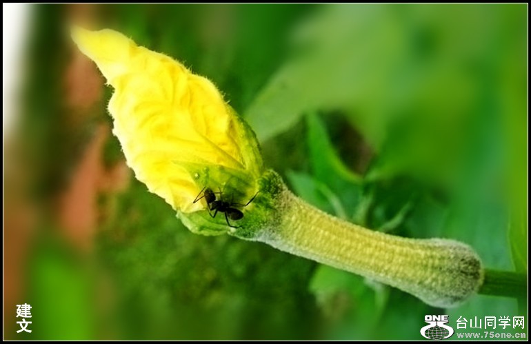 64b931ee83fa7498_conew11.jpg