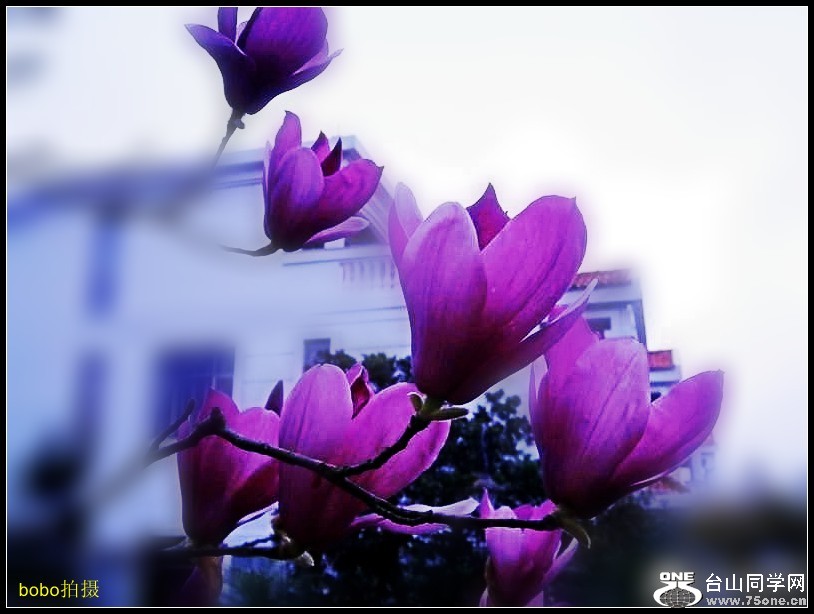 64b931ee83fa7498_conew24.jpg