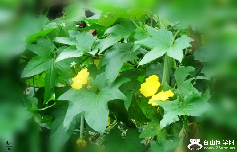 64b931ee83fa7498_conew9.jpg