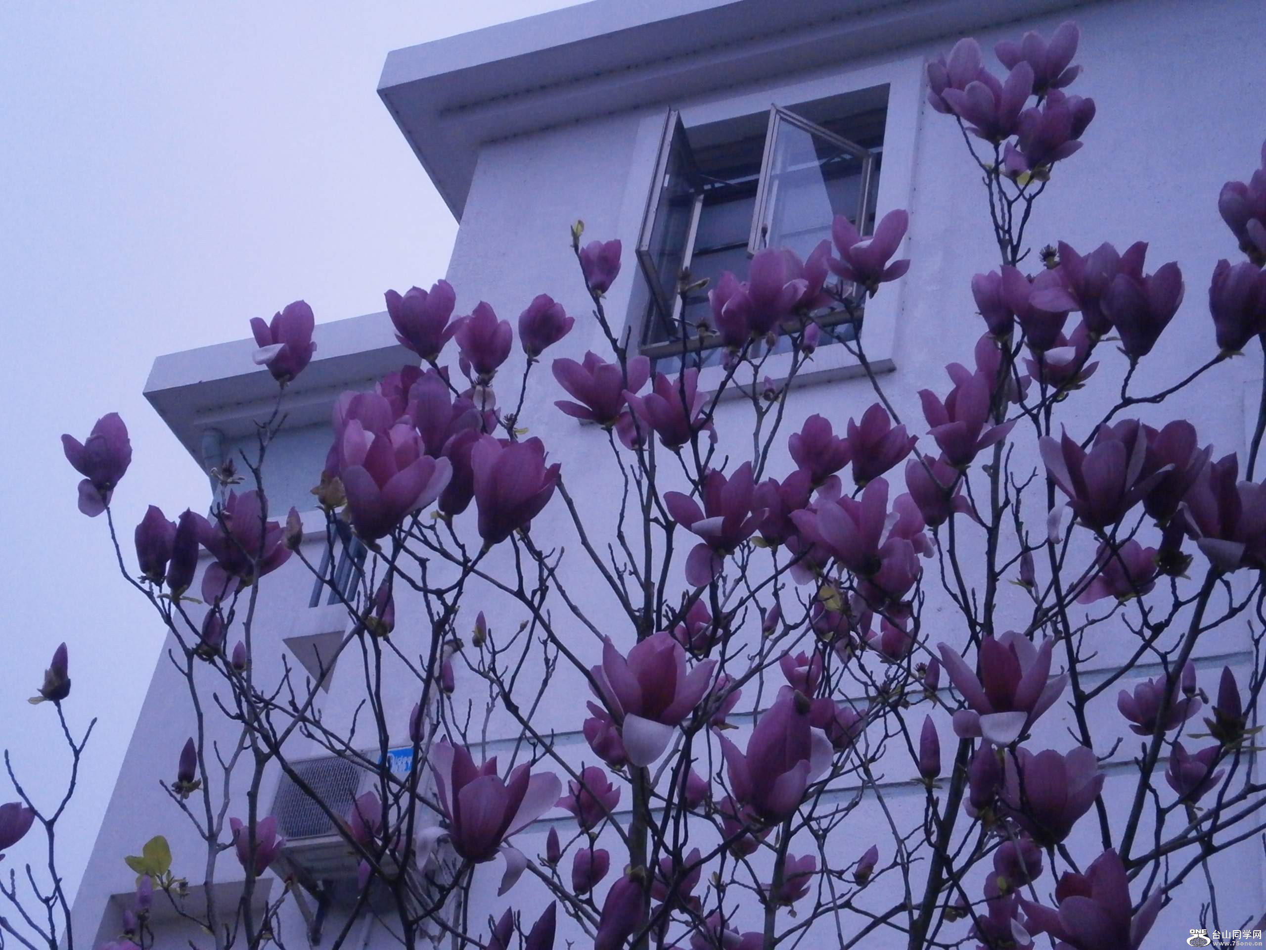 P3041443.jpg