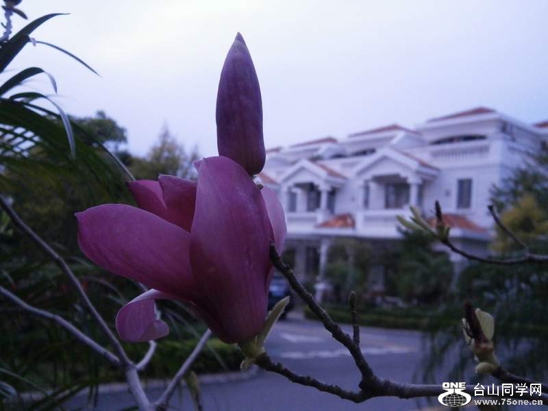 P3041534.jpg