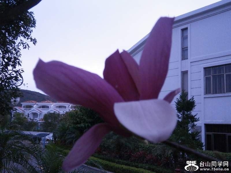 P3041535.jpg